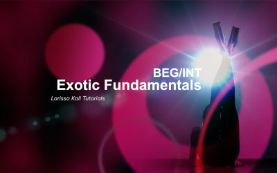 Exotic Fundamentals BEG/INT